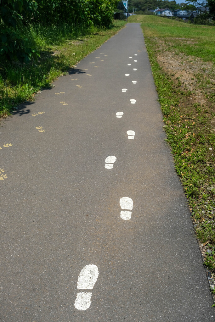 茂林寺
