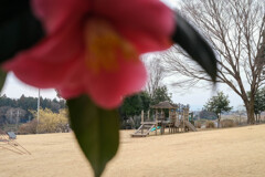 城址公園