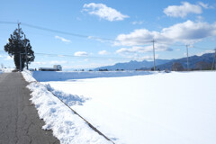 野菜王国昭和村