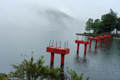 霧の高原