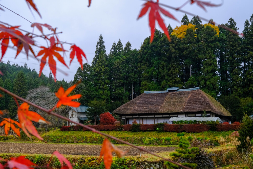 栃木路