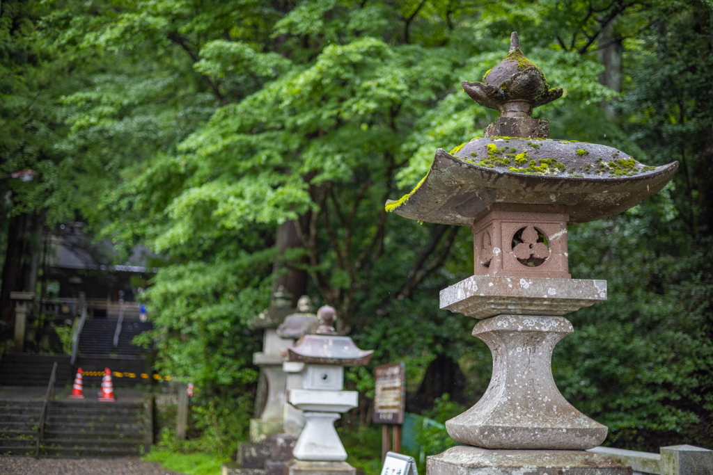 雨の赤城神社