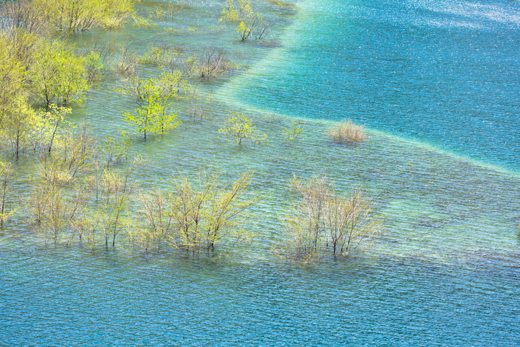 待ちわびた春の目覚め、
