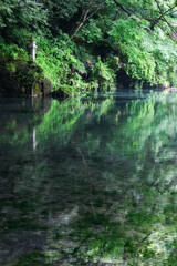 遊水地（栃木県佐野市）