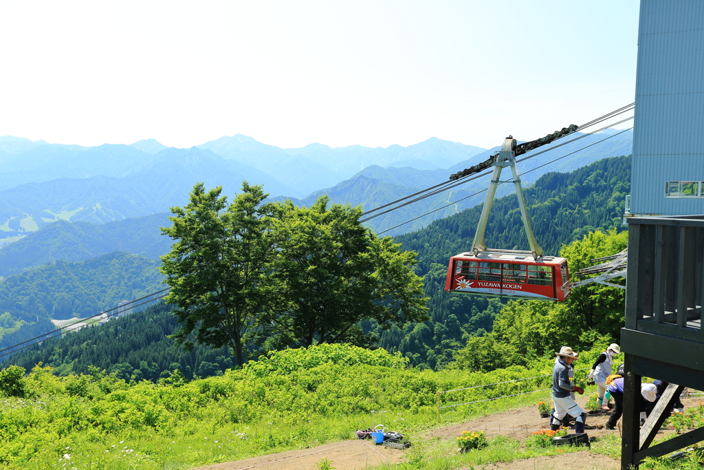 新潟 湯沢の思い出、