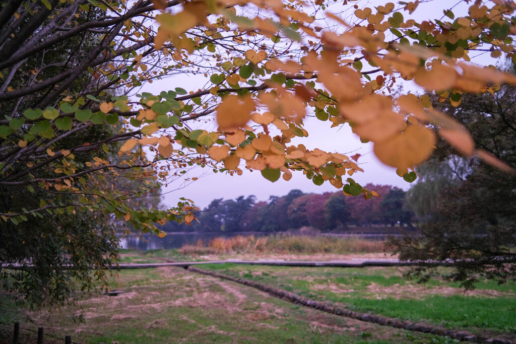 古墳公園　