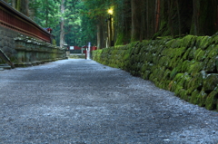 参道の静寂、