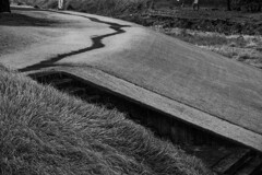 せせらぎの歩道