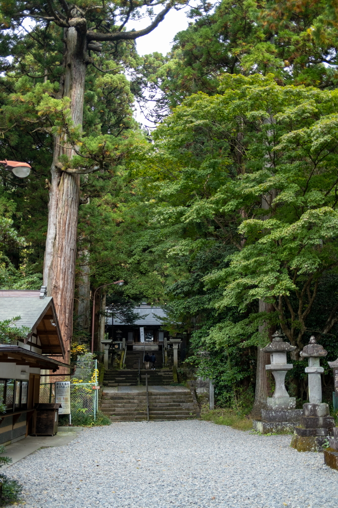 赤城神社