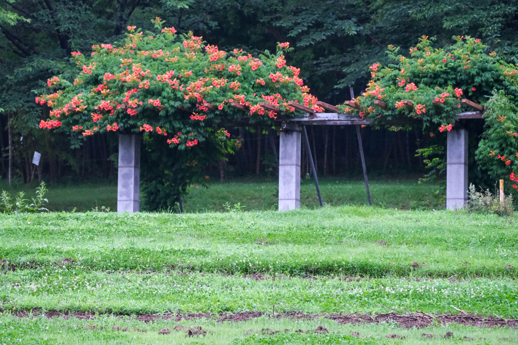 紅い帽子の休憩ベンチ