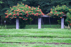 紅い帽子の休憩ベンチ