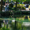 湧水池（栃木県）