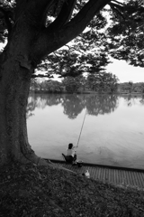 五料沼（古墳公園）