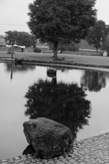 雨の公園　