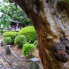 鑁阿寺　