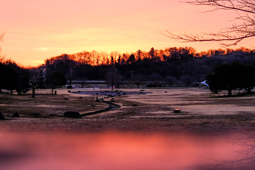 朝焼けの公園