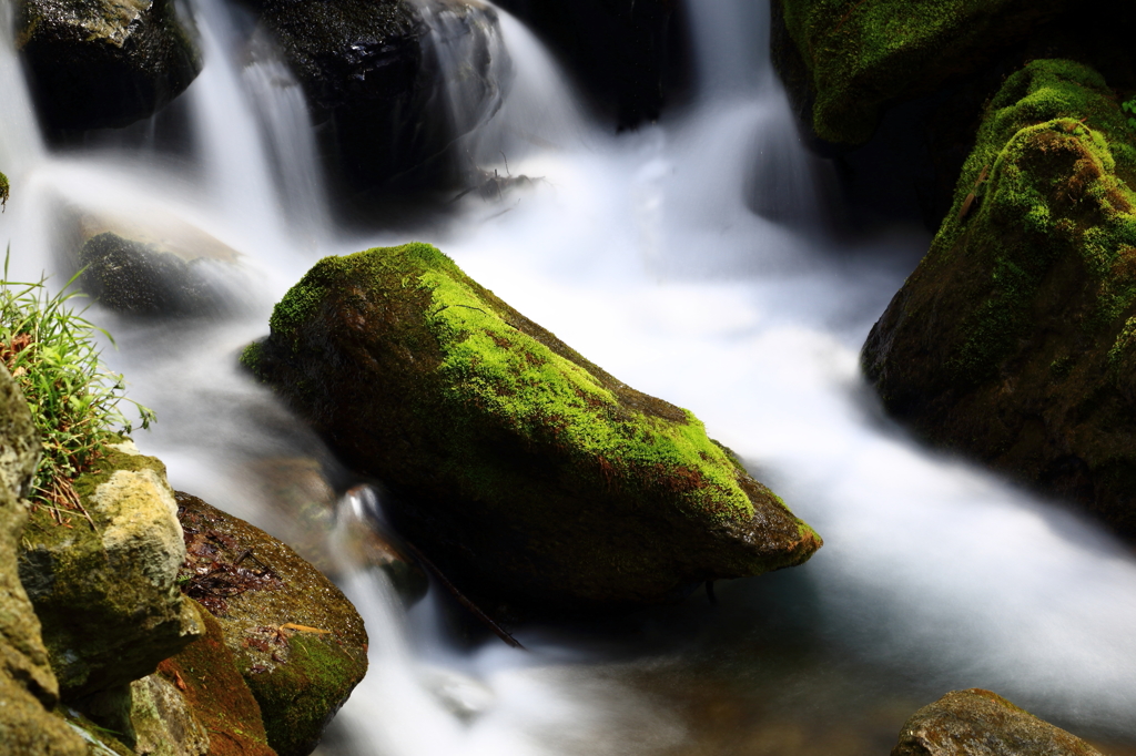 足 跡 （塩原渓谷）