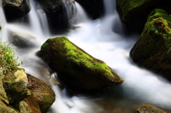 足 跡 （塩原渓谷）