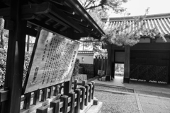 忍城　（埼玉県行田市）