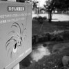ホタルの里（せせらぎ公園）