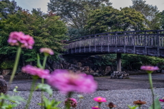 城址公園　Ⅱ