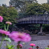 城址公園　Ⅱ