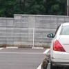 何か御用ですか？