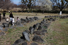 古墳王国　大室公園