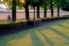 爽やかな朝の公園、