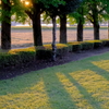爽やかな朝の公園、