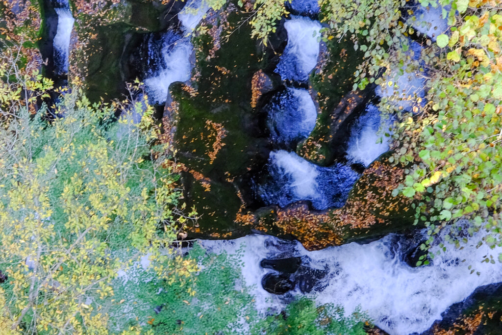 自然岩（魚道）