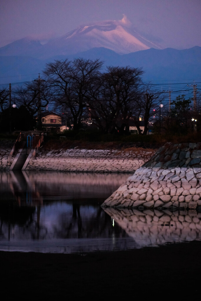 散歩道　