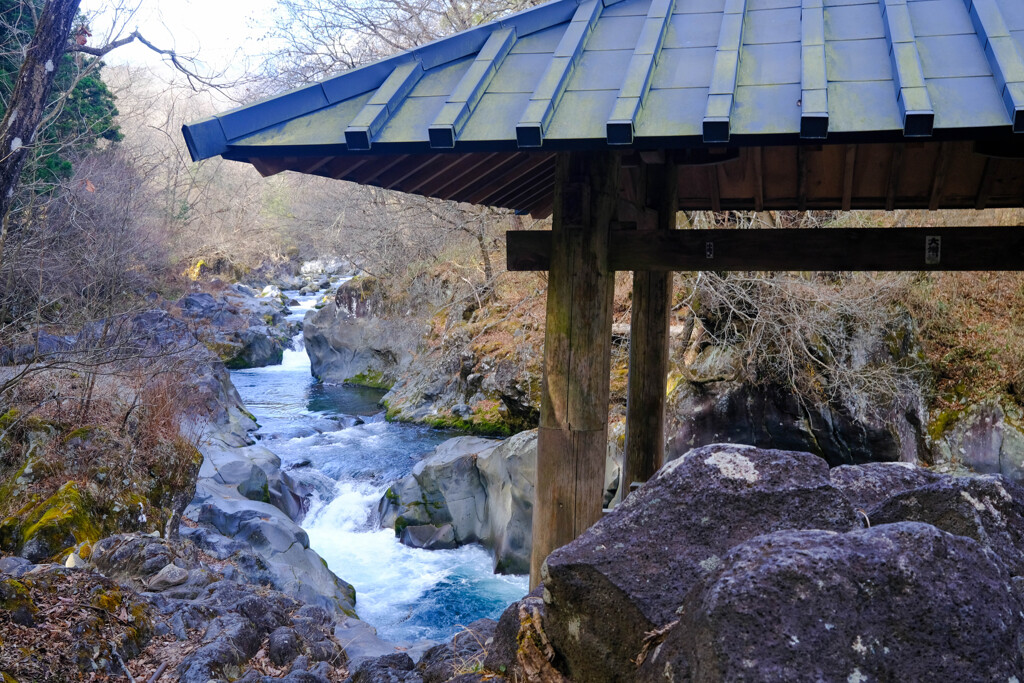 　大谷川の清流