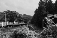 小さな駅の旅