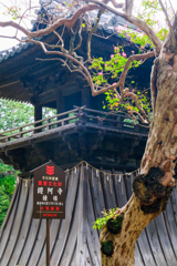 夏の終演（鑁阿寺)