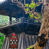 夏の終演（鑁阿寺)