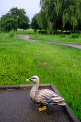 朝の公園