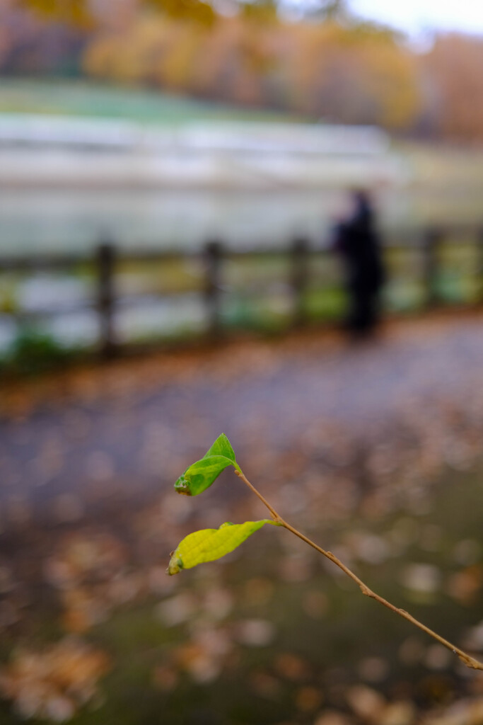 更けゆくゆく秋