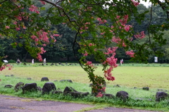 古墳公園