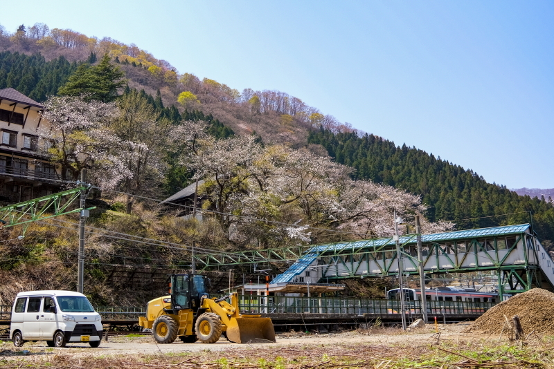 土樽春の彩、