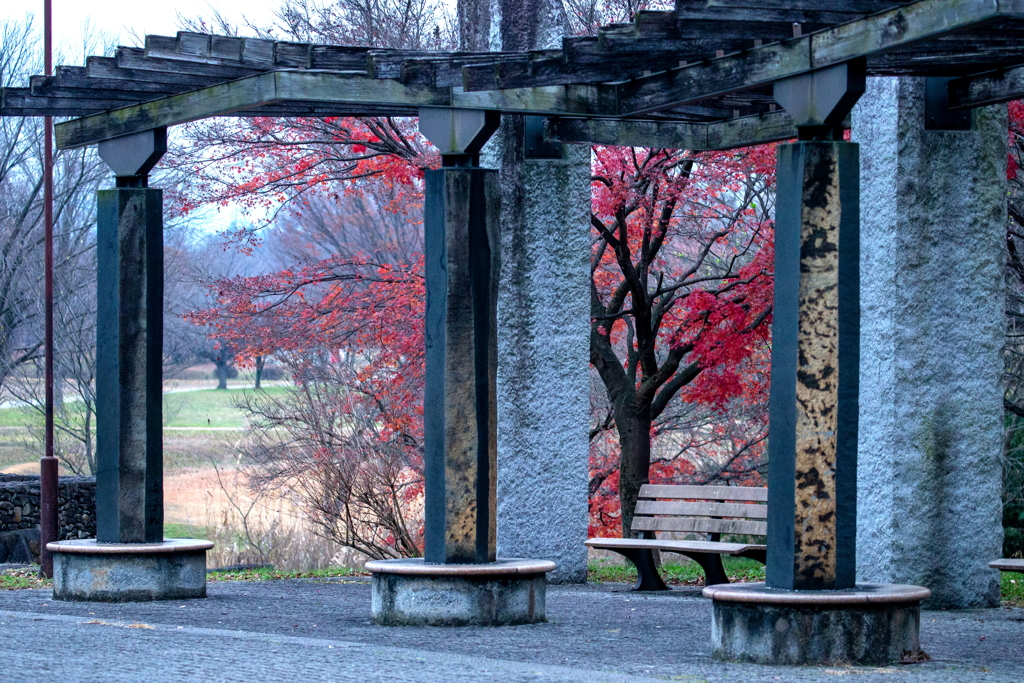 朝の公園、