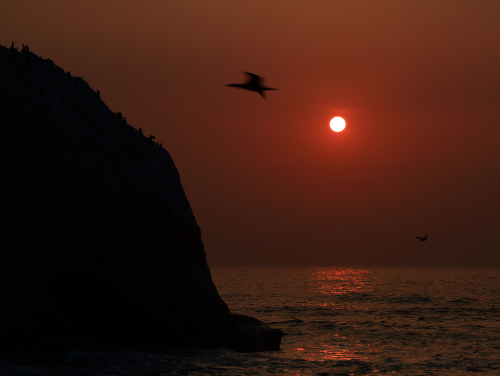 海岸散歩　（北茨城）