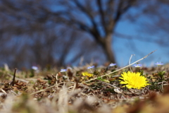 大室公園、