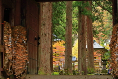 おもてなしの雲洞庵、