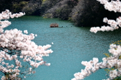 待ちわびた春、