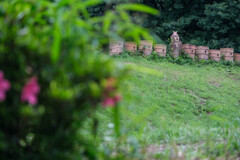 古墳公園