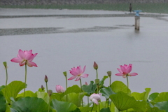 雨の朝、Ⅲ