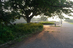 霧の公園