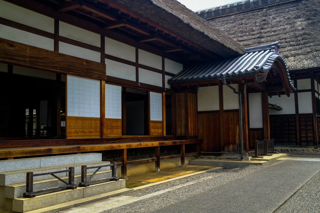 日本最古の大学、