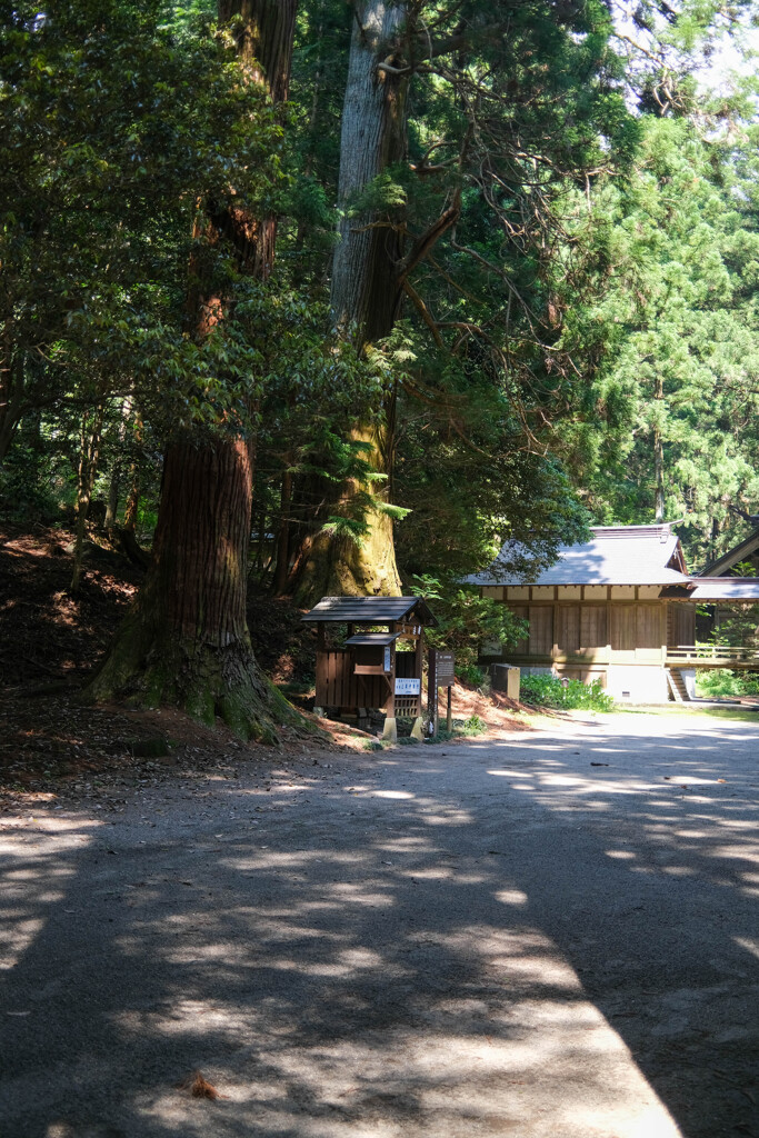 赤城神社　